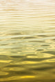 Ocean Wave Abstract Poster Print by Savanah Plank, featuring serene ocean waves.
