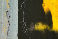 Details of Rust and Paint on Metal Poster Print by Zandria Muench Beraldo