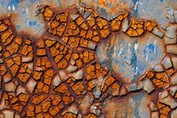 Details of rust and paint on metal poster print by Zandria Muench Beraldo.