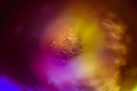 Frozen Bubbles Poster Print by Zandria Muench Beraldo, showcasing intricate frozen bubbles.