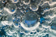 Frozen Bubbles Poster Print by Zandria Muench Beraldo featuring delicate frozen bubbles.