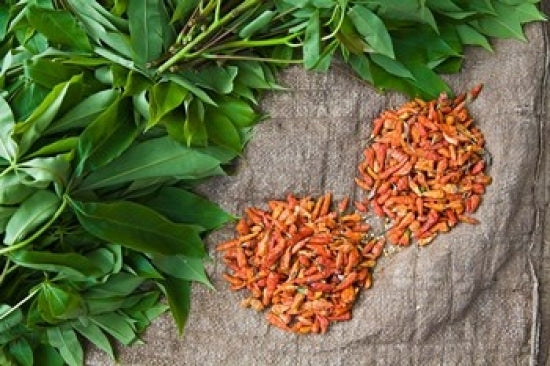 Benin Chili Peppers and Greens Produce Market Poster Print by Aldo Pavan