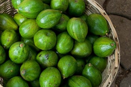Benin Ouidah Produce Market Avocados Poster Print by Cindy Miller Hopkins