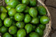 Benin Ouidah Produce Market Avocados Poster Print by Cindy Miller Hopkins