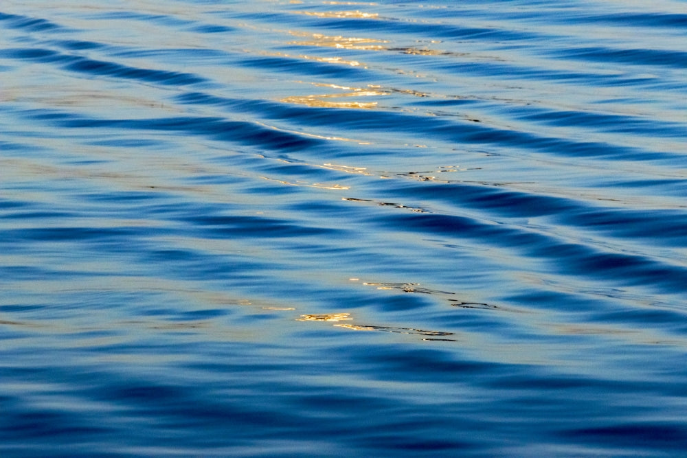Water ripples in Chobe National Park poster print by Keren Su.