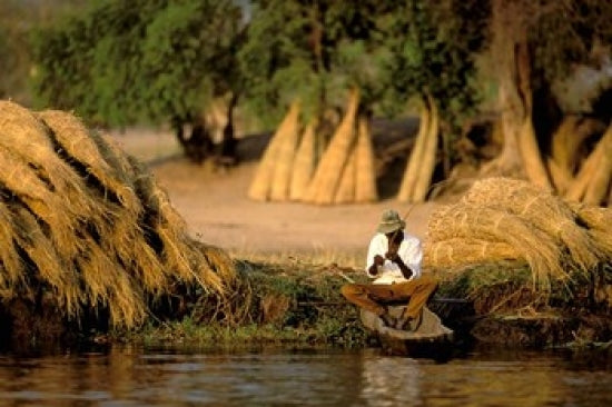 Local Man Fishing and Piles of Straw in Okavango Delta Poster Print by Pete Oxford