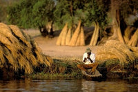 Local Man Fishing and Piles of Straw in Okavango Delta Poster Print by Pete Oxford