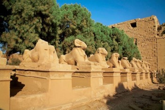Sphinxes at the Temple of Karnak and Luxor poster print