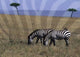 Zebra on the Serengeti art print by Bill Bachmann showcasing zebras in a vibrant African landscape.