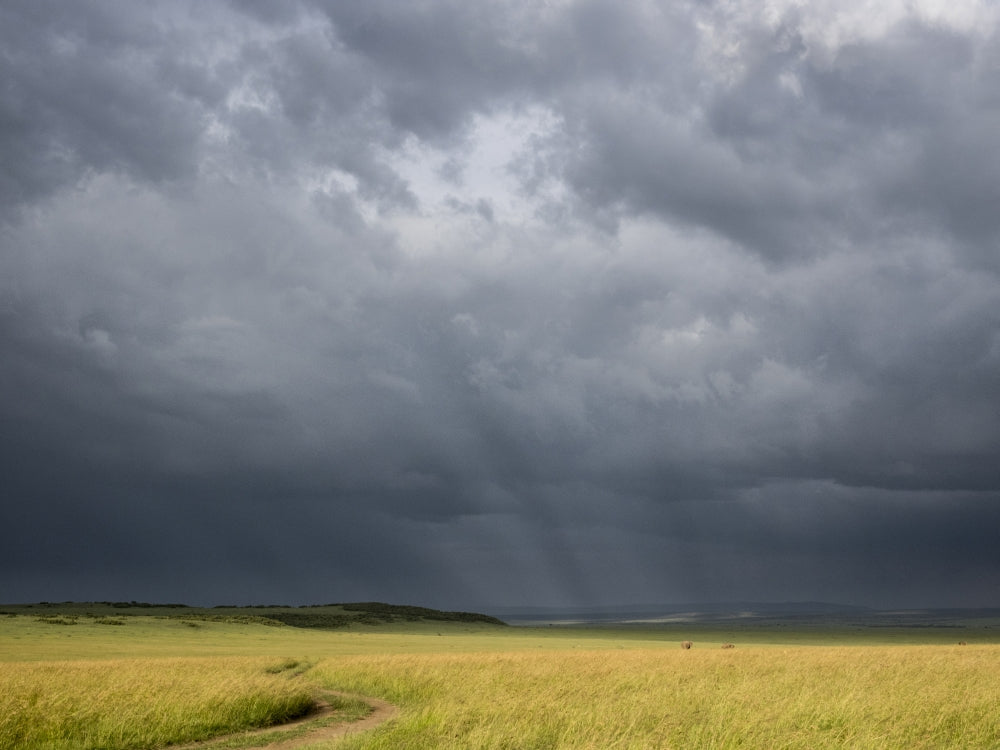 Storm Clouds Over Maasai Mara National Reserve Poster Print