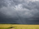 Storm Clouds Over Maasai Mara National Reserve Poster Print