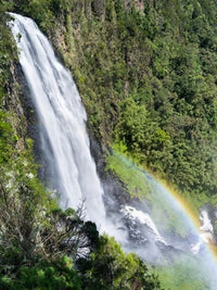 Karura Falls Aberdare National Park Kenya Poster Print by Martin Zwick