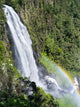 Karura Falls Aberdare National Park Kenya Poster Print by Martin Zwick