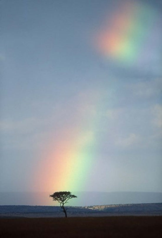 Rainbow Forms Amid Rain Clouds in Masai Mara Poster Print by Paul Souders