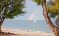 Madagascar Mahajunga Fishing Dhow and Rainbow Art Print by Charles Sleicher