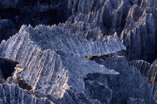 Tsingy Rock Formations poster print by Daisy Gilardini showcasing Madagascar's natural beauty.