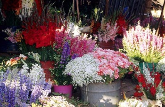 Bunch of Flowers at the Market Fine Art Print by Daisy Gilardini.