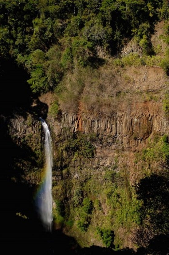 Petit Cascade Waterfall Poster Print - Amber Mountain NP, Madagascar by Pete Oxford