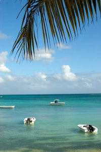 Mauritius Grand Baie Boats Anchored Poster Print by Peter Skinner