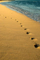 Footprints in the Sand poster print by Peter Skinner featuring serene Mauritius beach.