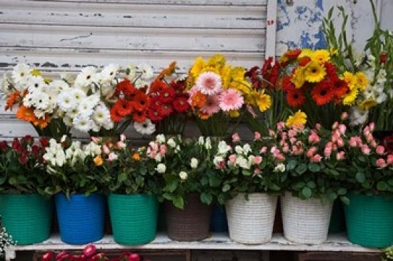 Flower Market, Port Louis, Mauritius Poster Print by Walter Bibikow showcasing vibrant flowers and local culture.