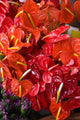 Flamingo Flowers Flower Market Poster Print by Walter Bibikow