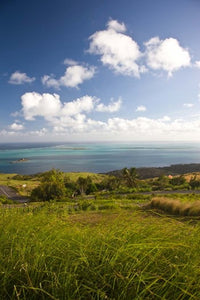 Mauritius Rodrigues Pompee Ile Hermitage Poster Print by Walter Bibikow