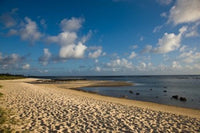 Mauritius Beach Poster Print by Walter Bibikow featuring Bel Ombre coastline.
