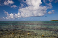 Mauritius Oceanfront Poster Print by Walter Bibikow showcasing tropical landscapes.