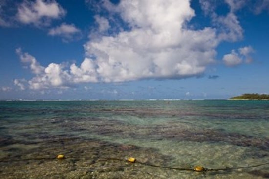 Mauritius Blue Bay Oceanfront Poster Print by Walter Bibikow