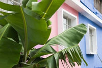 http://c328301.r1.cf1.rackcdn.com/PDDAF28WBI0314B.jpg