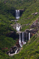 Tamarin Falls Poster Print by Walter Bibikow showcasing stunning nature photography.