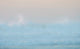Asilah Ocean Waves on Shore Poster Print by Bill Young