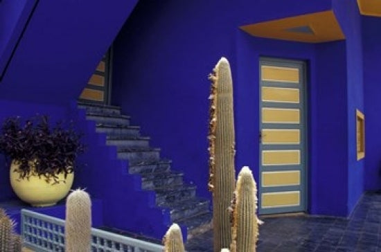 Door and Plants in Jardin Majorelle, Marrakech Poster Print by Darrell Gulin