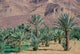 Palmery Below Mountains Poster Print by John & Lisa Merrill showcasing lush palms and majestic mountains.