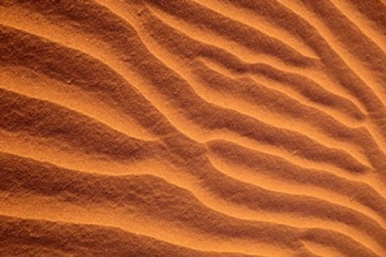 Sand Dunes Furrowed by Winds Fine Art Print by John & Lisa Merrill