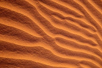 Sand Dunes Furrowed by Winds Fine Art Print by John & Lisa Merrill
