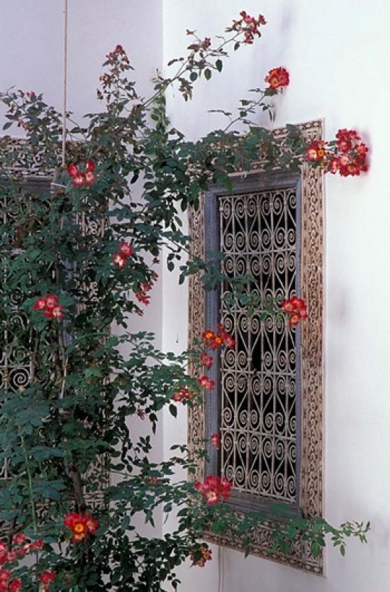 Courtyard with Zellij art print featuring intricate Moroccan tile work.