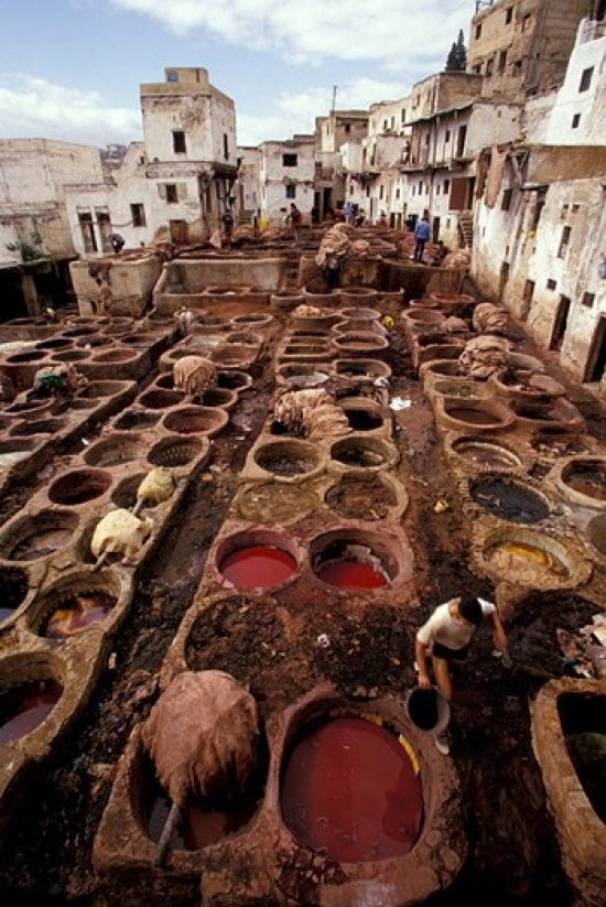 Tannery Vats in the Medina, Fes, Morocco Poster Print by John & Lisa Merrill
