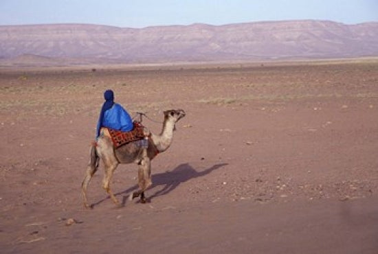 Man in traditional dress riding a camel in Morocco poster print.