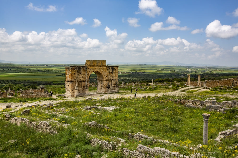 Volubilis, Morocco Arch of Caracalla Poster Print by Jolly Sienda