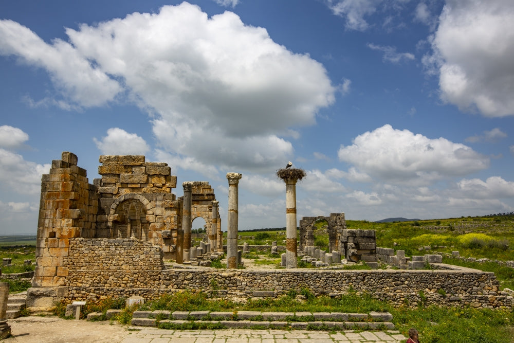 Volubilis Ancient Roman Basilica ruins and Marabou Stork Poster Print by Jolly Sienda.