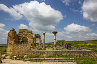 Volubilis Ancient Roman Basilica ruins and Marabou Stork Poster Print by Jolly Sienda.