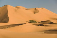 Merzouga Erg Chebbi Desert Poster Print by Walter Bibikow