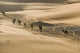 Camel Caravan at Erg Chebbi Dunes Poster Print by Walter Bibikow