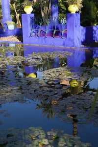 Villa Reflexion poster print featuring Jardin Majorelle and Museum of Islamic Art in Marrakech by Walter Bibikow.