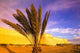 MOROCCO, AGADIR Ancient Kasbah Fort Walls Poster Print by Walter Bibikow