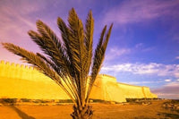 Agadir Ancient Kasbah Fort Walls Poster Print by Walter Bibikow