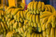 Market Bananas at Tamri poster print by Walter Bibikow