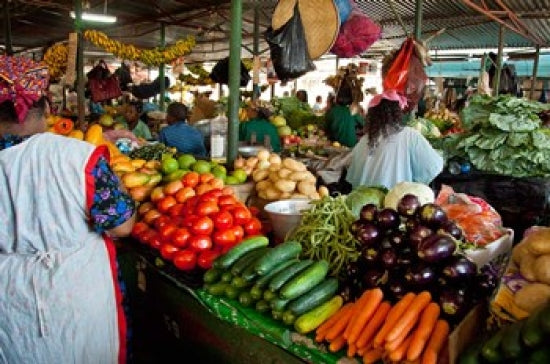 Mercado Municipal Maputo Mozambique Poster Print by Cindy Miller Hopkins